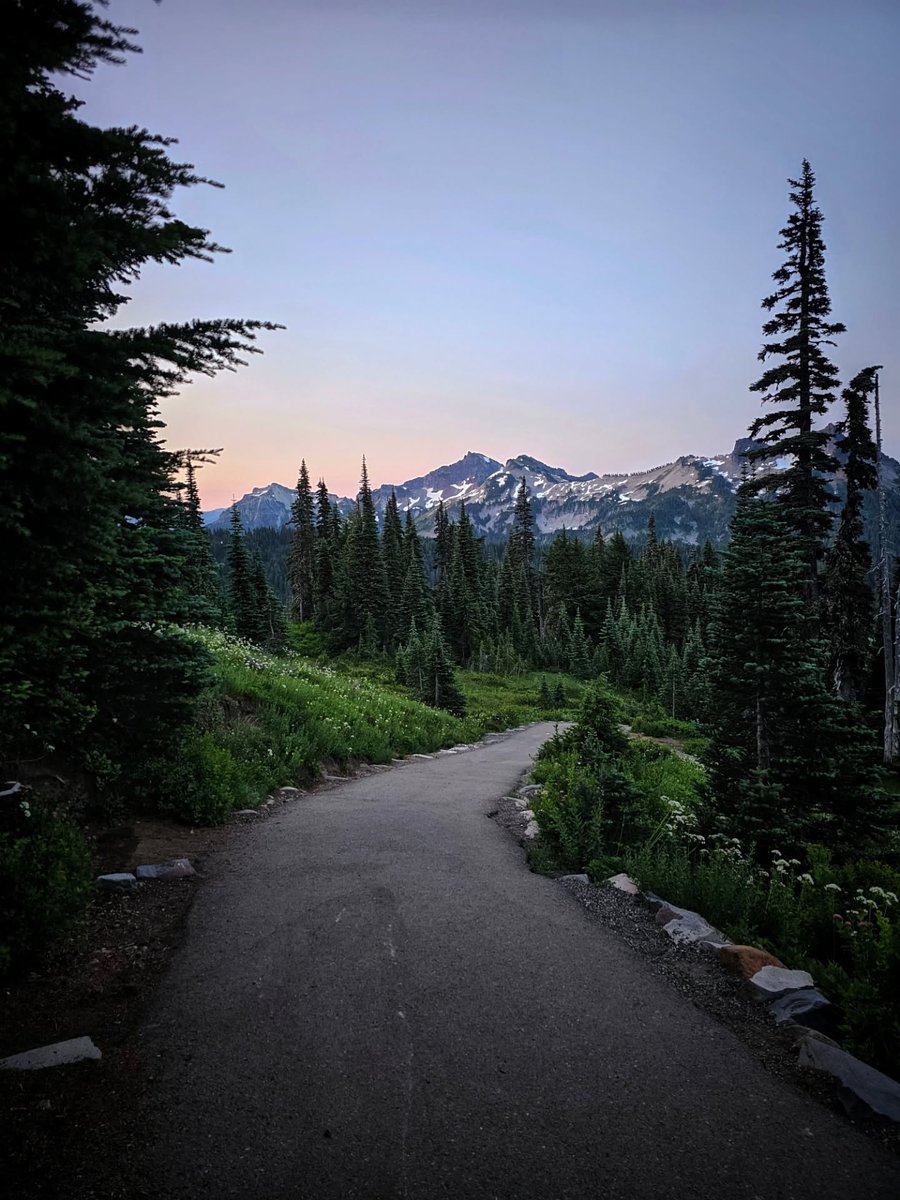 𝘄𝗮𝗻𝗱𝗲𝗿𝘁𝗿𝗮𝘃𝗲𝗹𝘀 tweet media