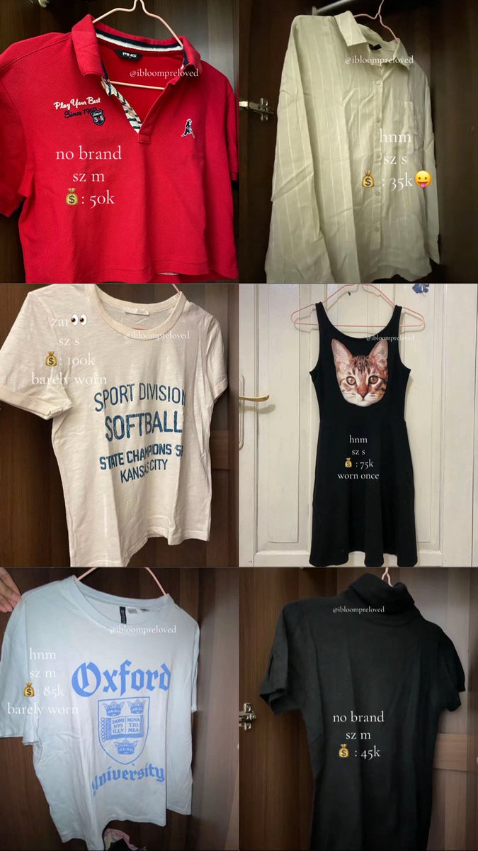 ibliommmm tweet media