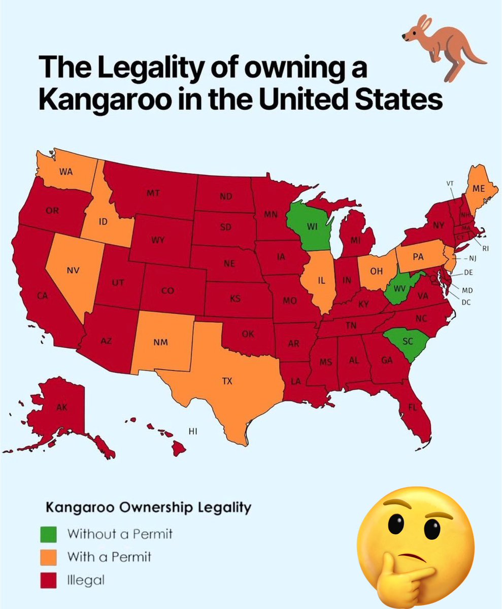 Punt Road tweet media