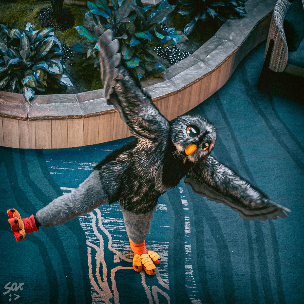 Melonlor tweet media