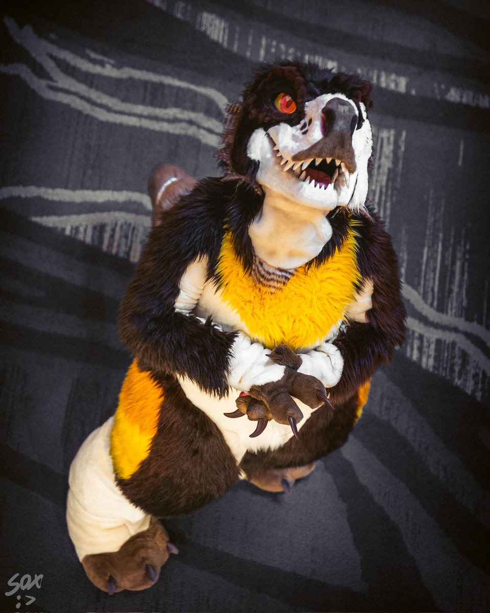 Melonlor tweet media