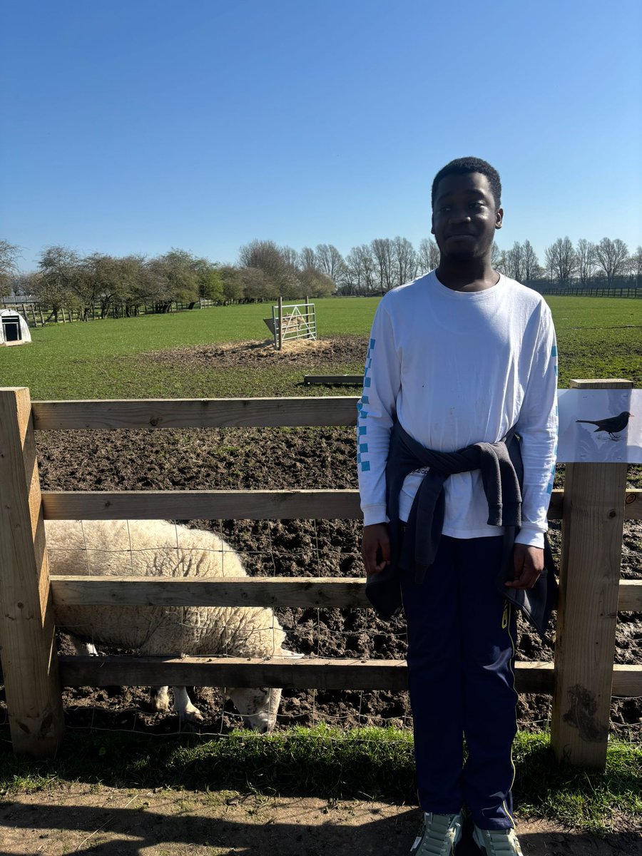 Same Difference tweet media