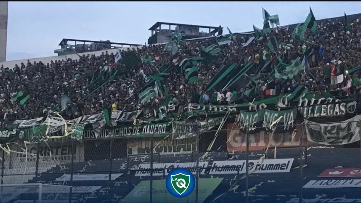 LA “Q” tweet media