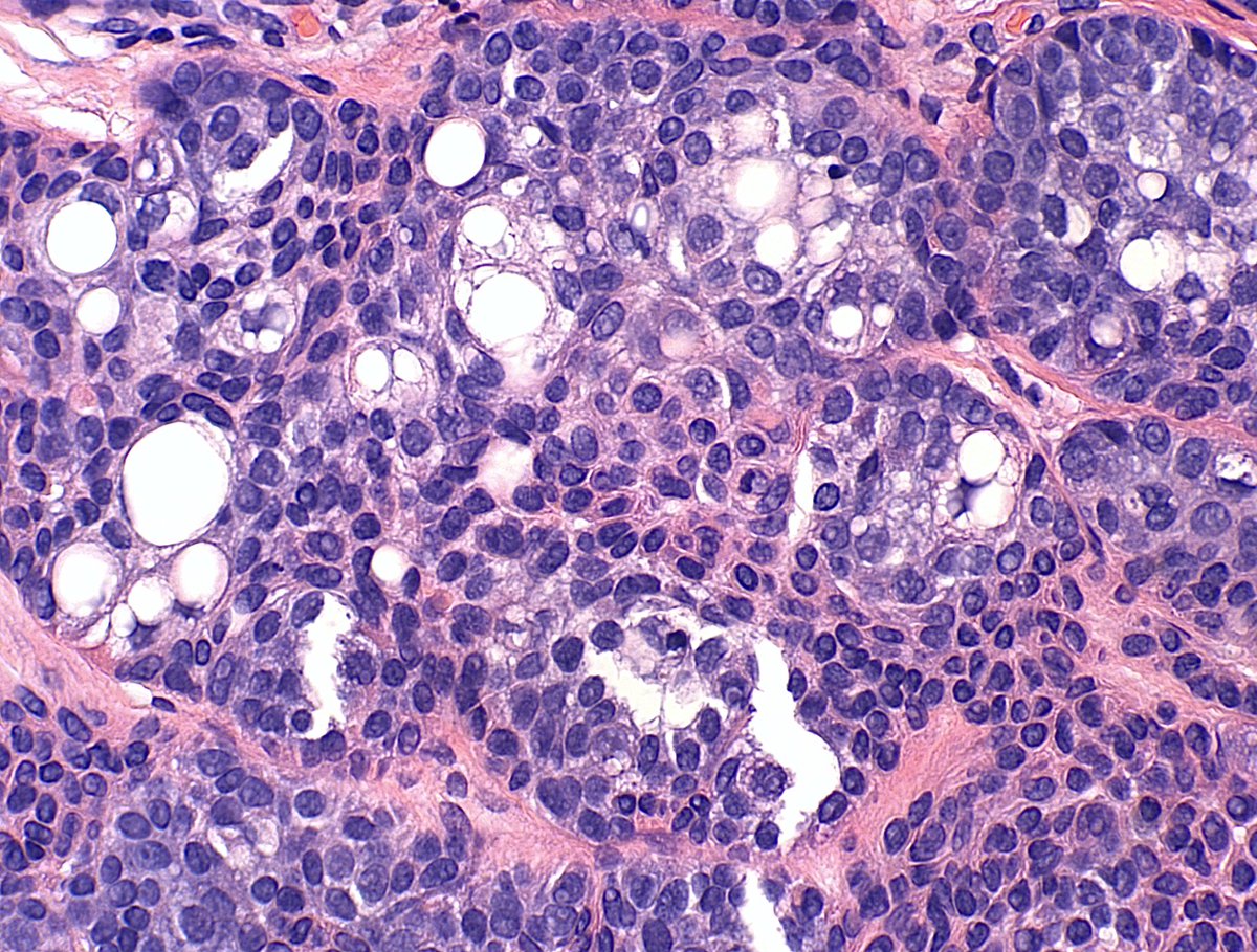 Garrey Faller tweet media