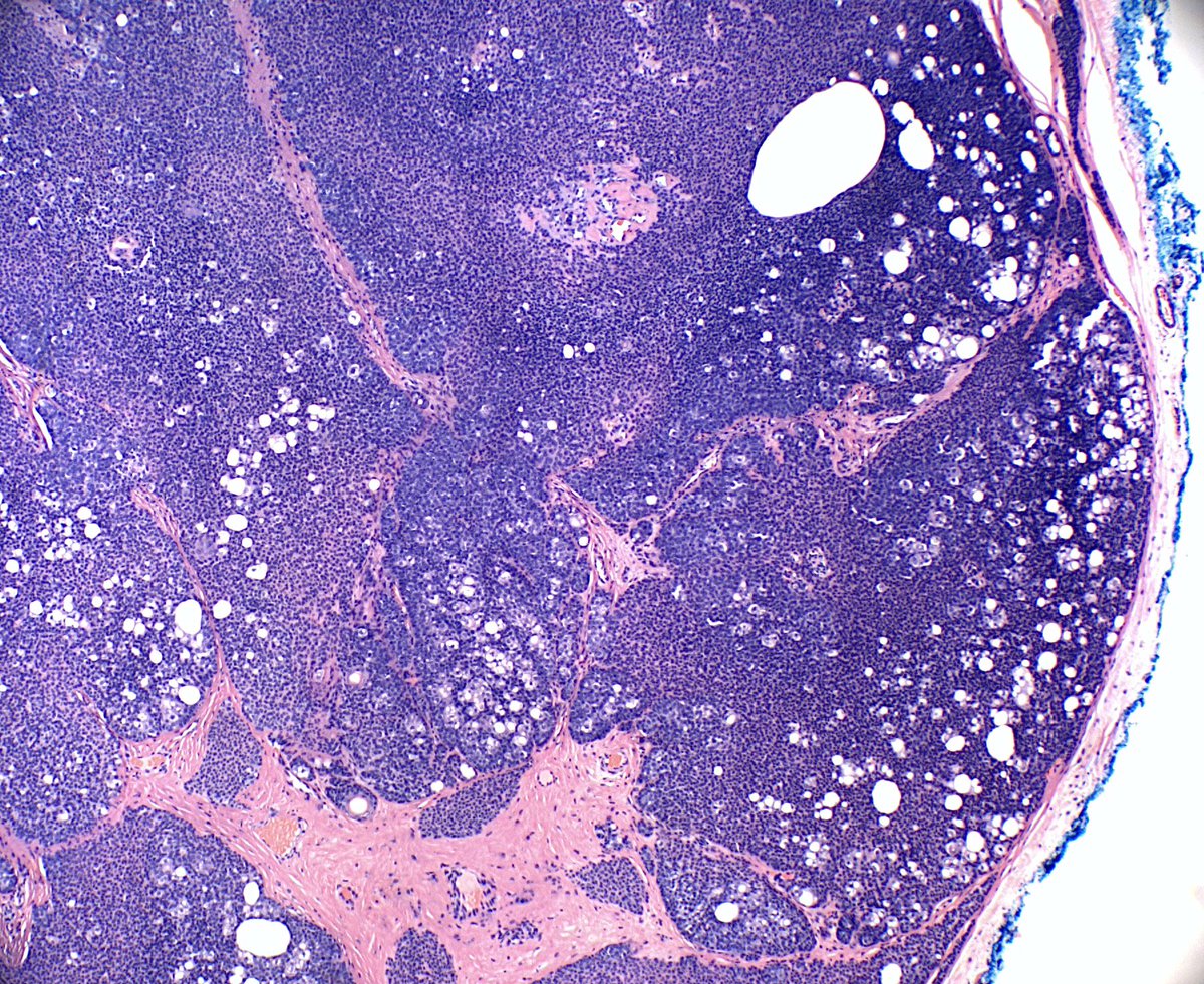 Garrey Faller tweet media