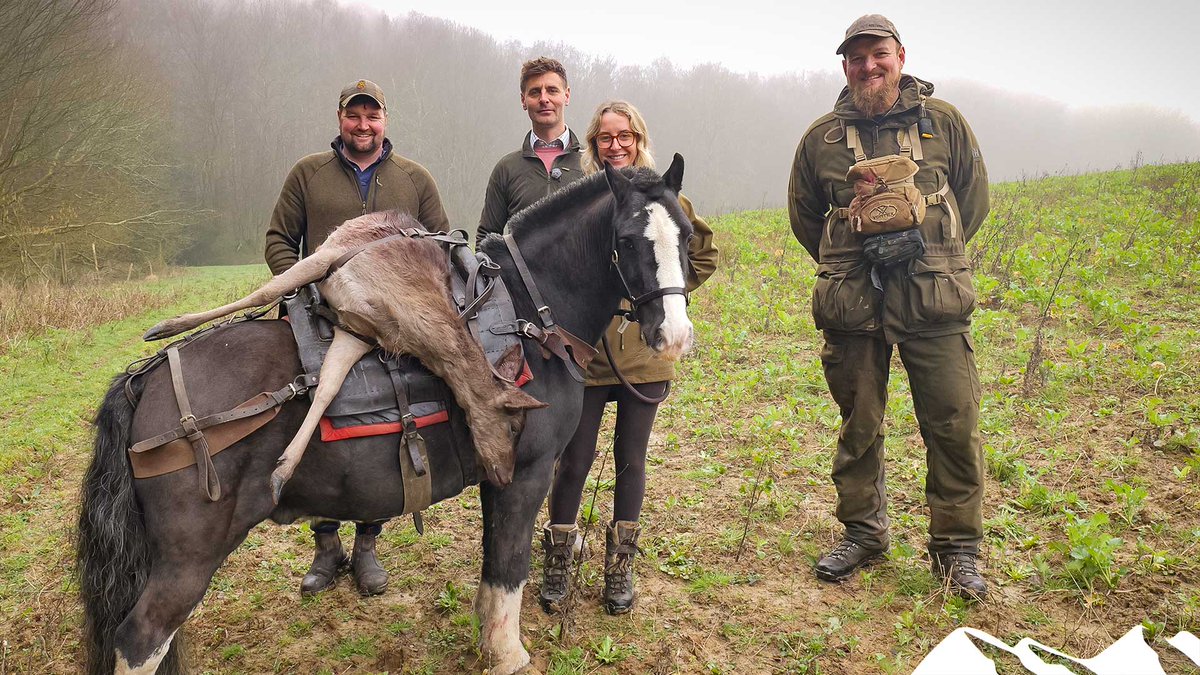 Fieldsports Channel tweet media