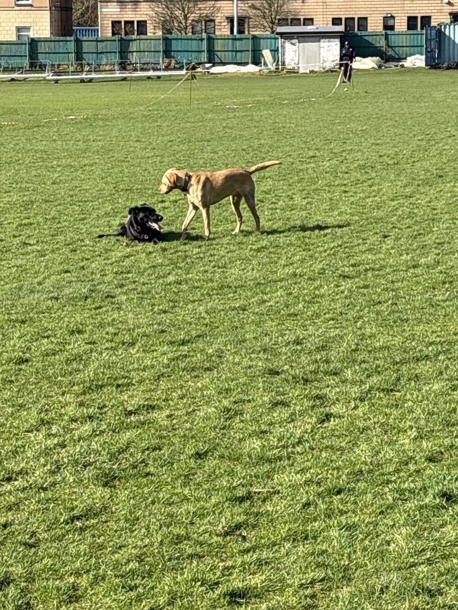 ACGT Groundswork tweet media