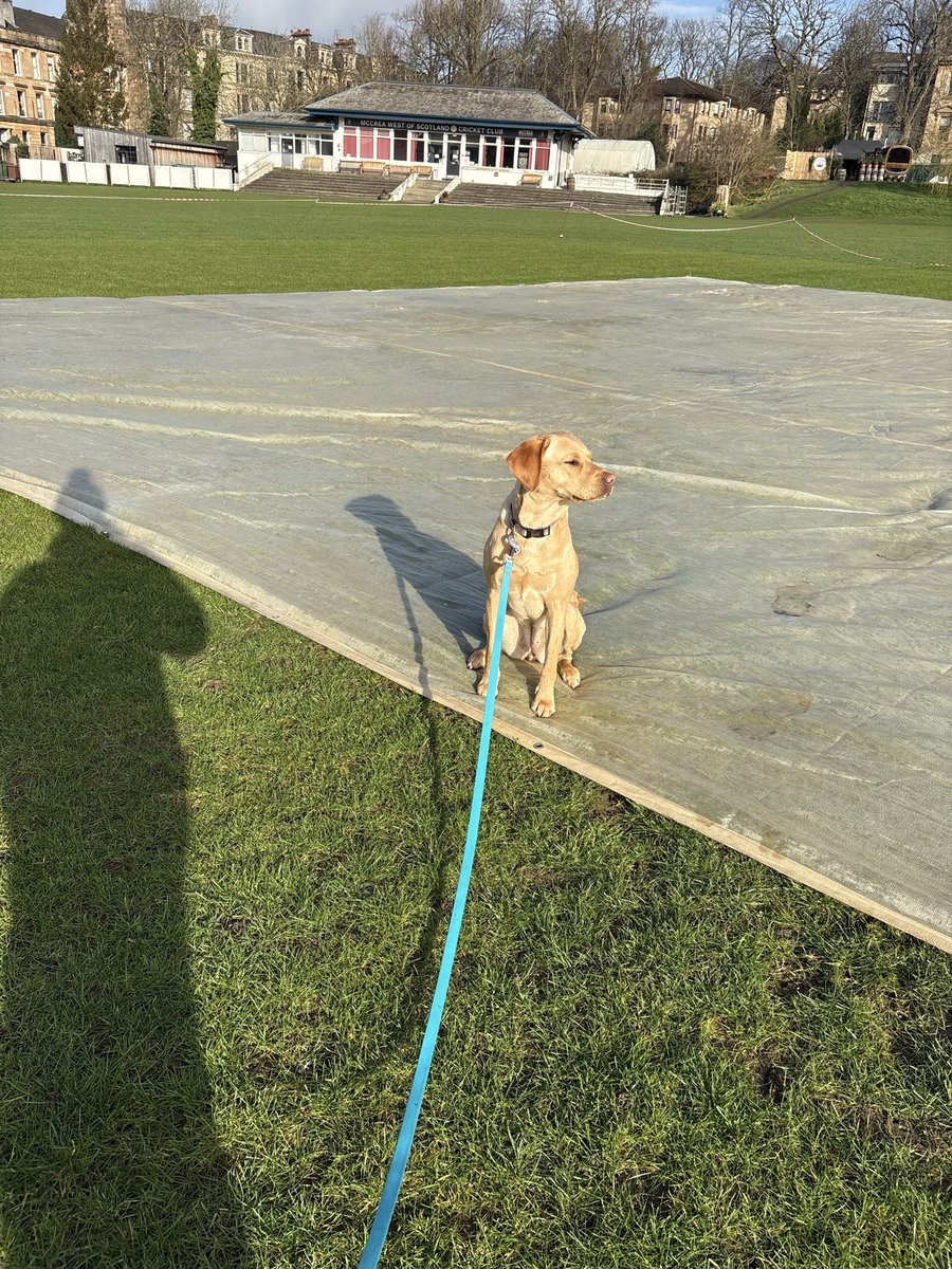 ACGT Groundswork tweet media