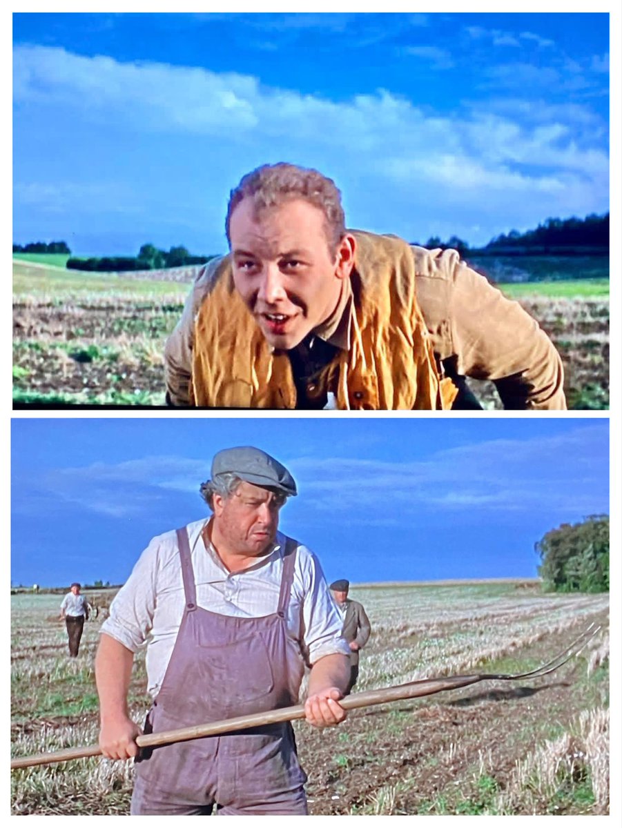 Polish Heritage Flight tweet media