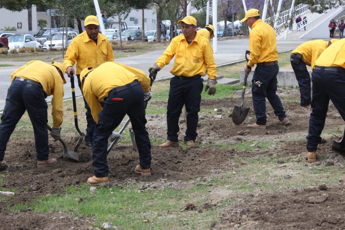Impulsamos la reubicación de árboles del CIS hacia el Nodo Blvd. Las Torres–Municipio Libre para fortalecer nuestras áreas verdes. 🌳🌱

Con la visión del gobernador <a href="/armentapuebla_/">Alejandro Armenta</a>, seguimos construyendo un Puebla más sustentable con participación ciudadana.

#PorAmorAPuebla💚