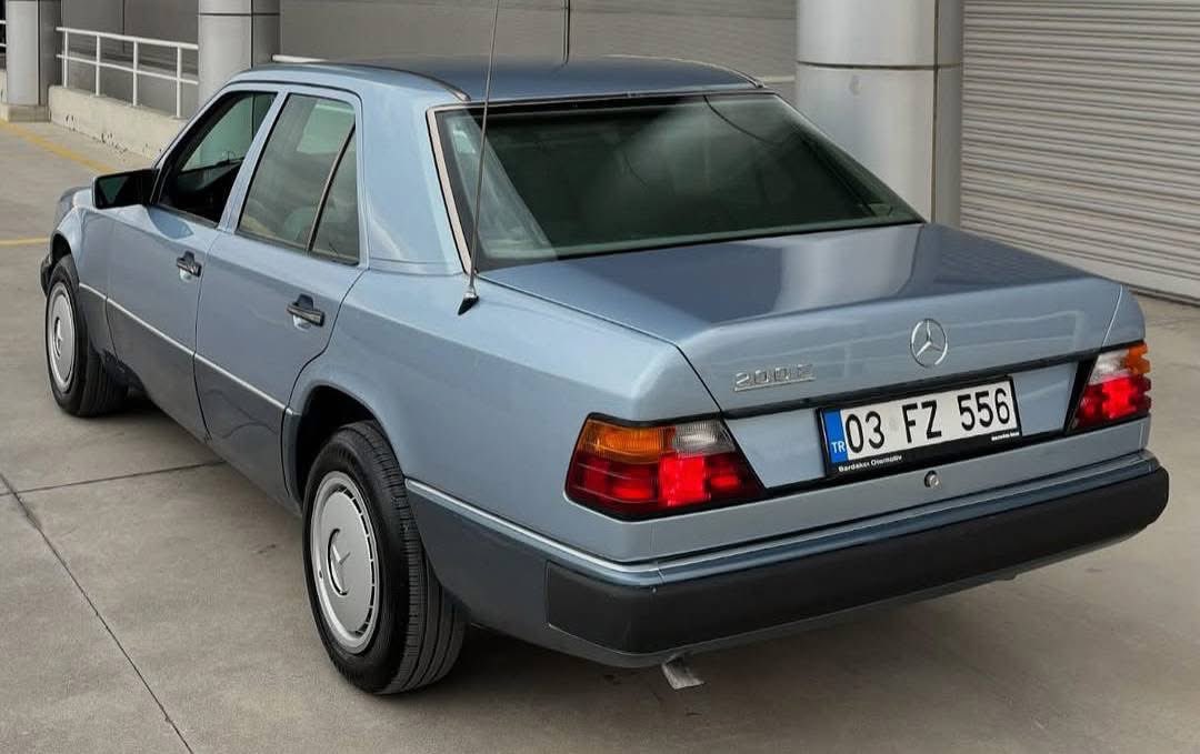 Ivory ✪ tweet media