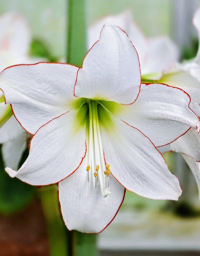 Destination Charming tweet media