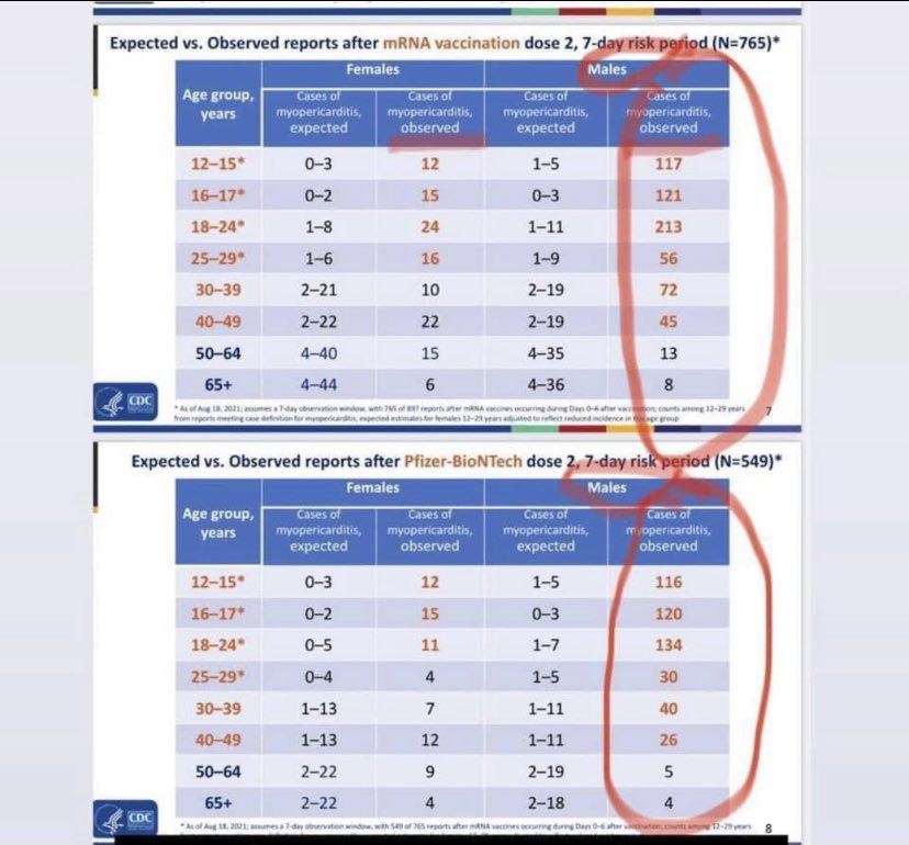nuchdig's tweet photo. @CarlHigbie @jathorpmfm Pfizer’s own trials: myocarditis was expected. What they saw in the trials blew past expectations https://t.co/jycnHR89lf