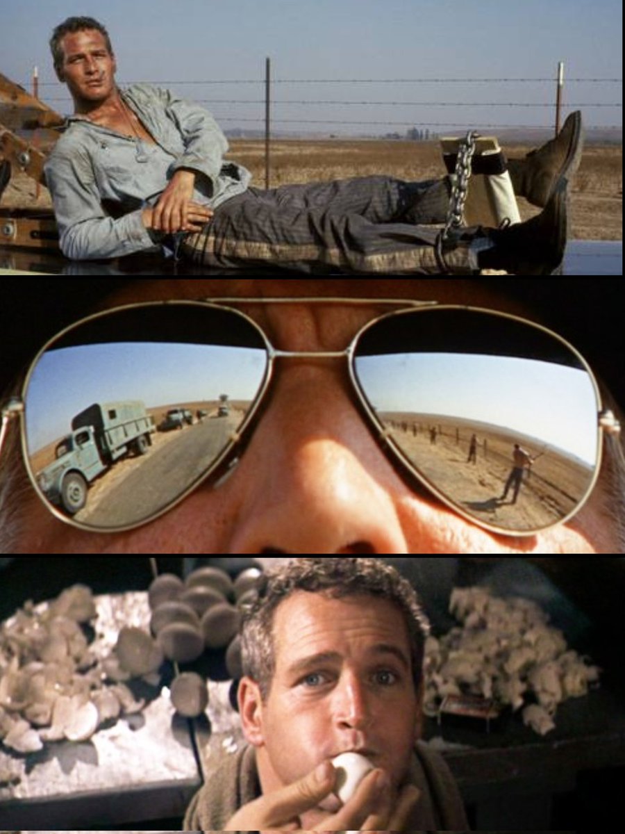 Mike David tweet media