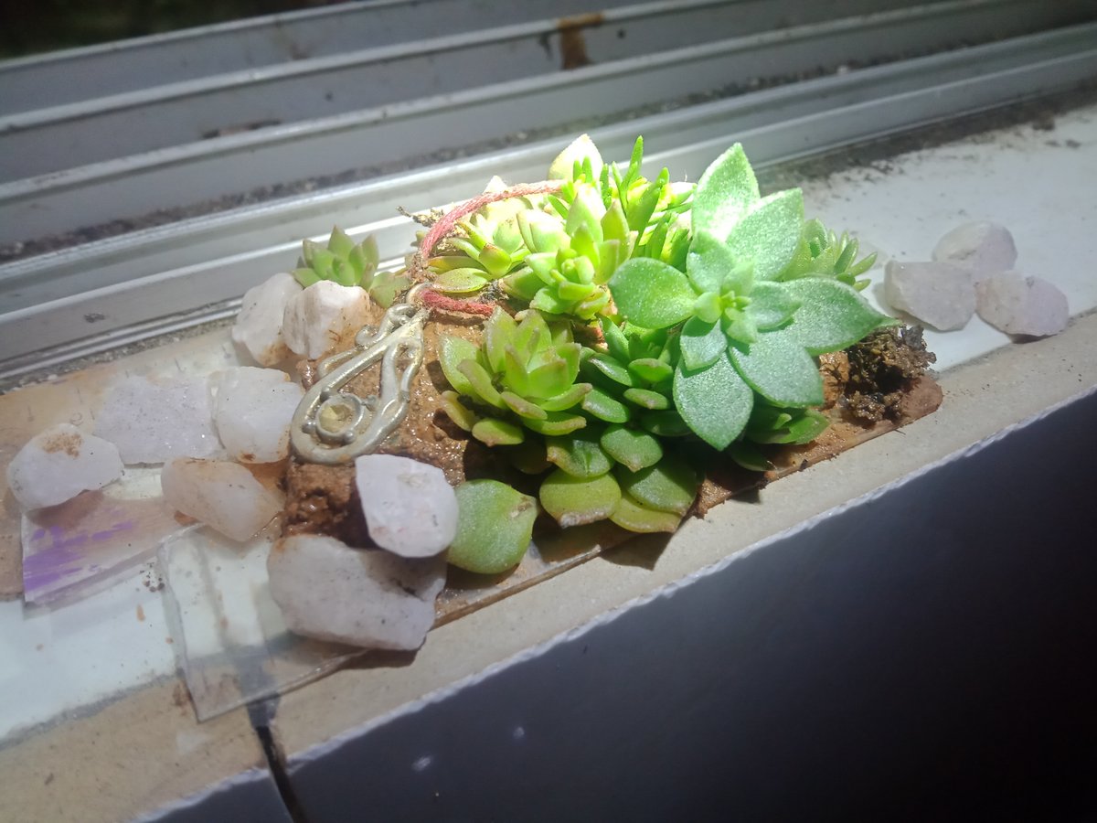 mahesh kharade tweet media