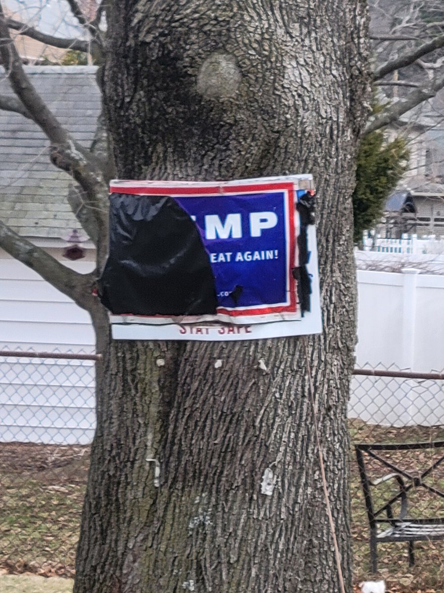 lum °• tweet media