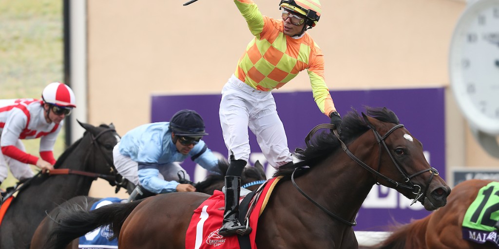 Breeders' Cup tweet media