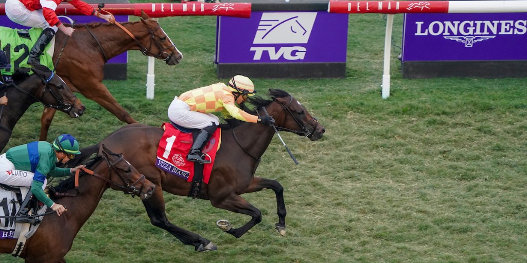 Breeders' Cup tweet media