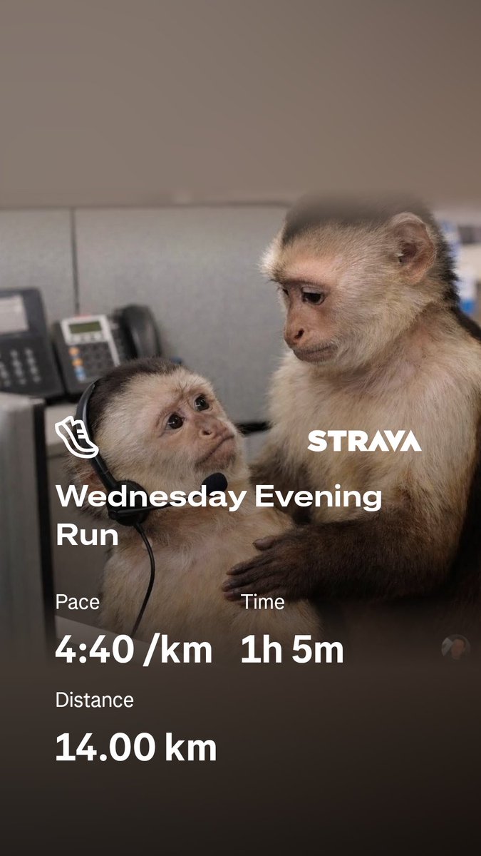 _StreetWise21's tweet image. I skipped gym on yesterday. As a result, I had to do a 60 minutes run so that I do not feel guilty. 🙃 

#VitalityActiveRewards
#Vitality 
#RunningWithTumiSole
#FetchYourBody2026
#garmin