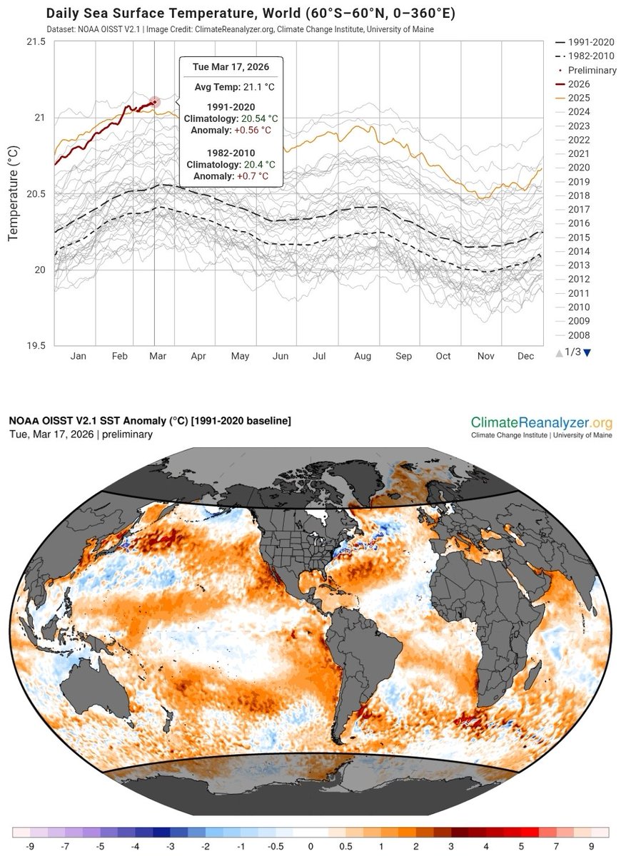 Leon Simons 🌍 tweet media