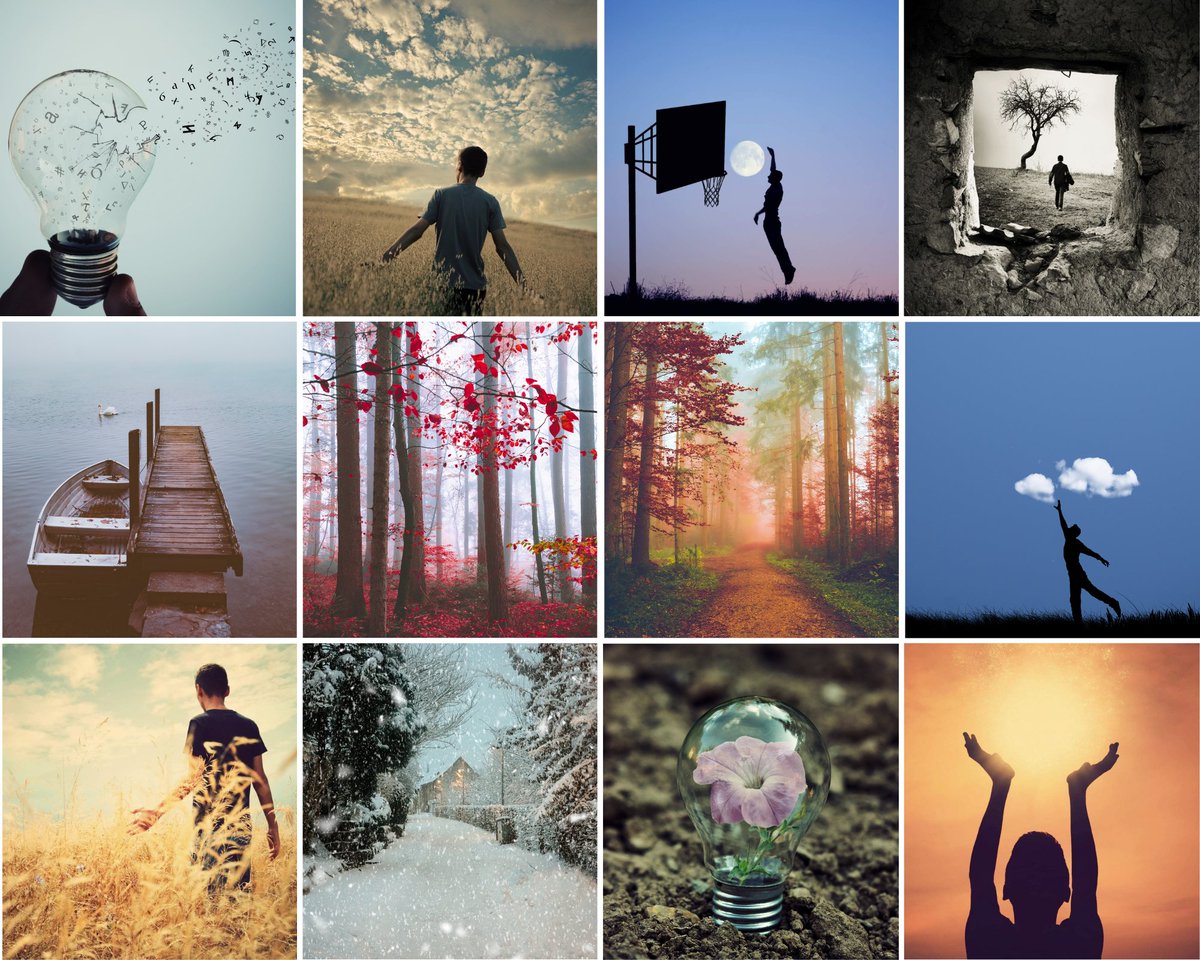 Adrian Limani tweet media