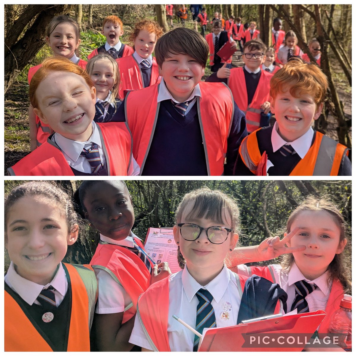 Mr Robinson (4M) tweet media