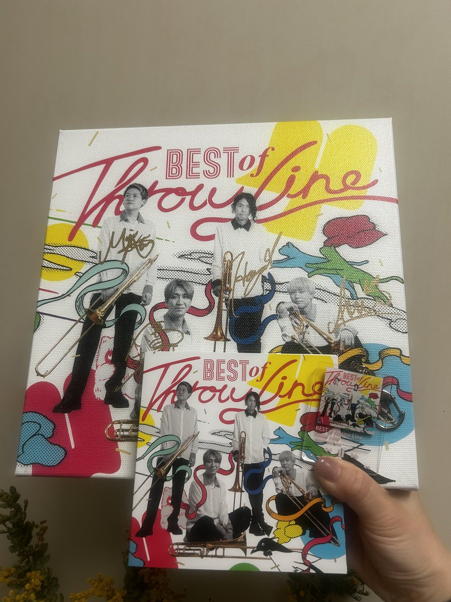 mykchan's tweet image. 届いたー🙌
たくさん聴きます‼︎

#ThrowLine
#BESTofThrowLine