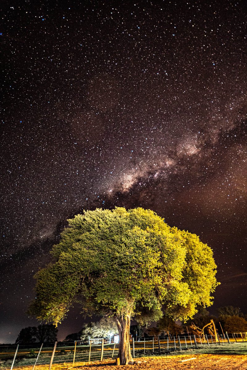 El campo duerme en silencio mientras el universo entero desfila sobre su cabeza.✨✨✨
PARAGUAY🇵🇾❤️