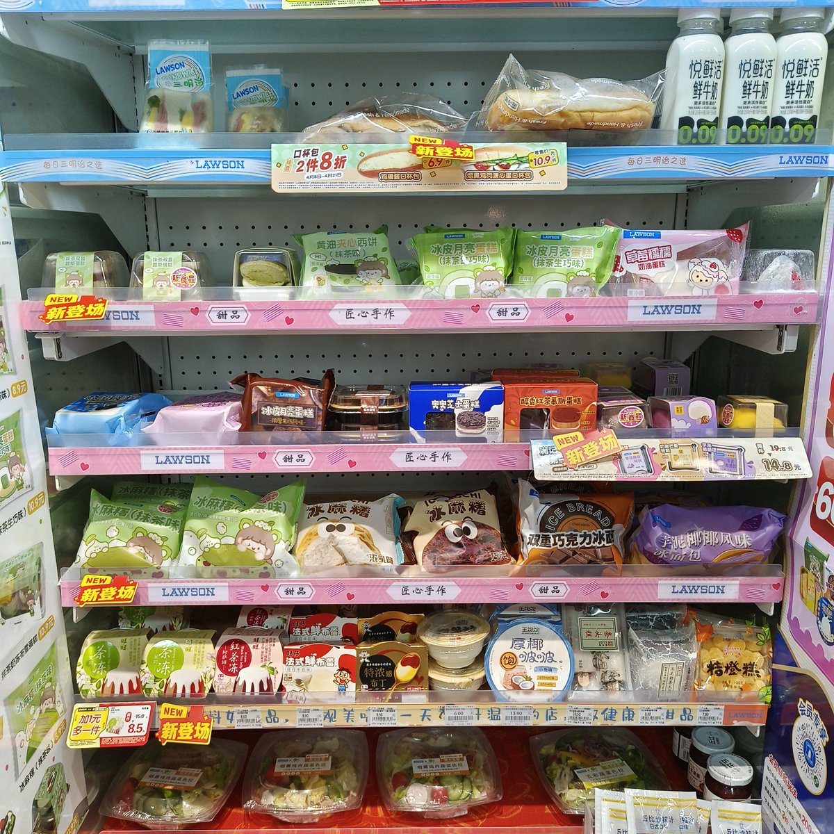 sofia mota tweet media