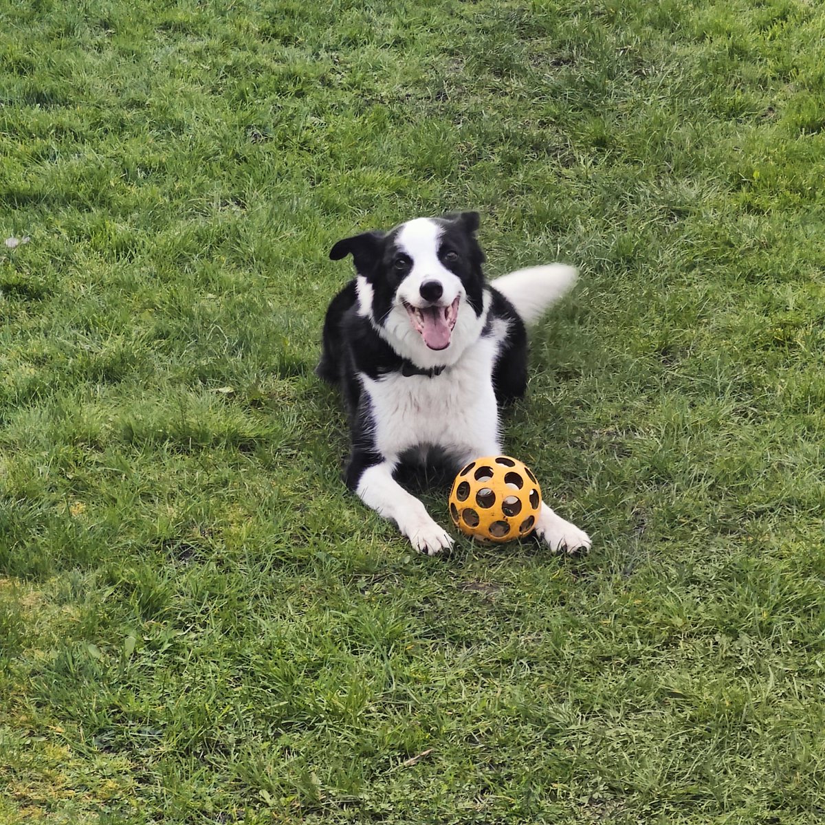 Steve from Bury tweet media