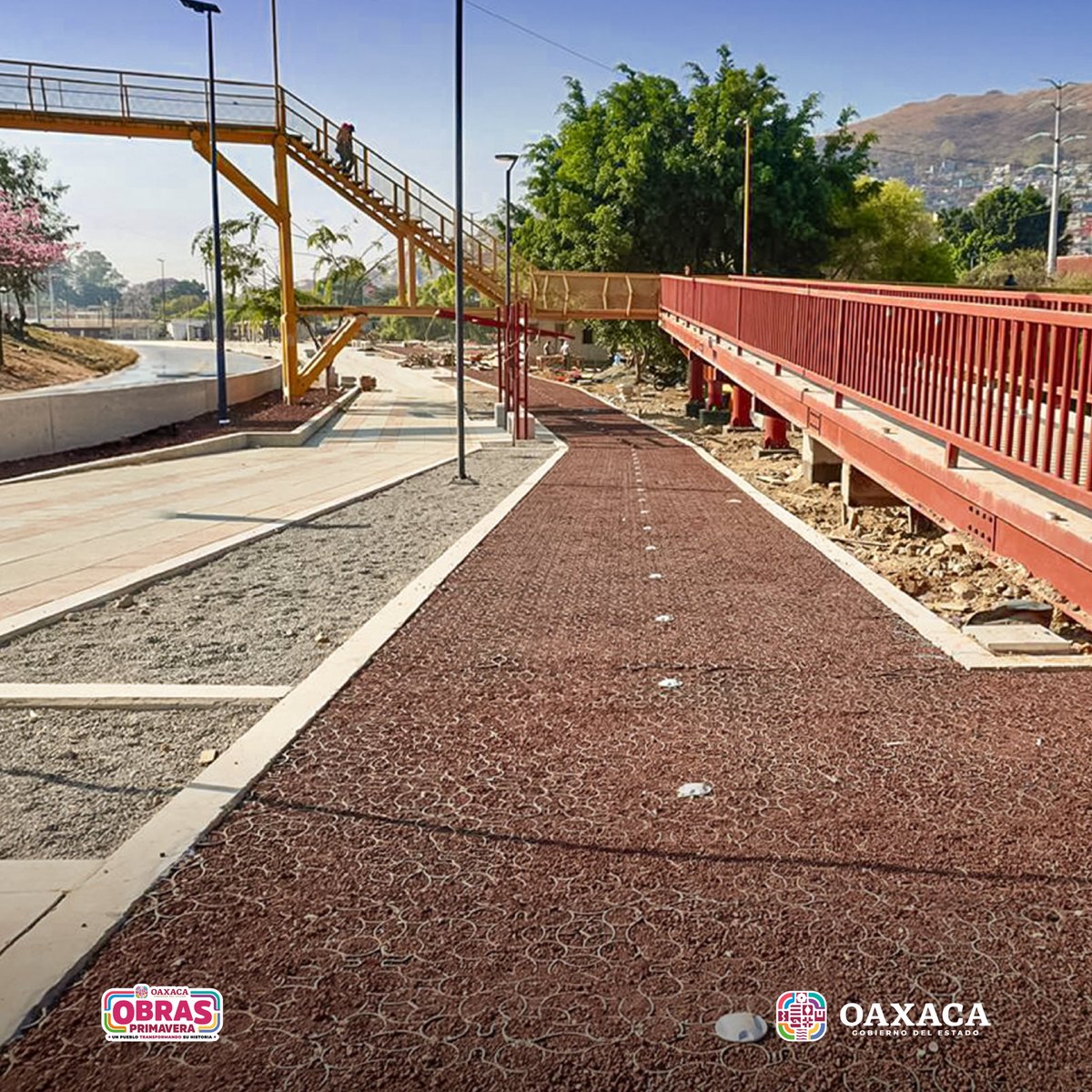 Salomón Jara Cruz tweet media