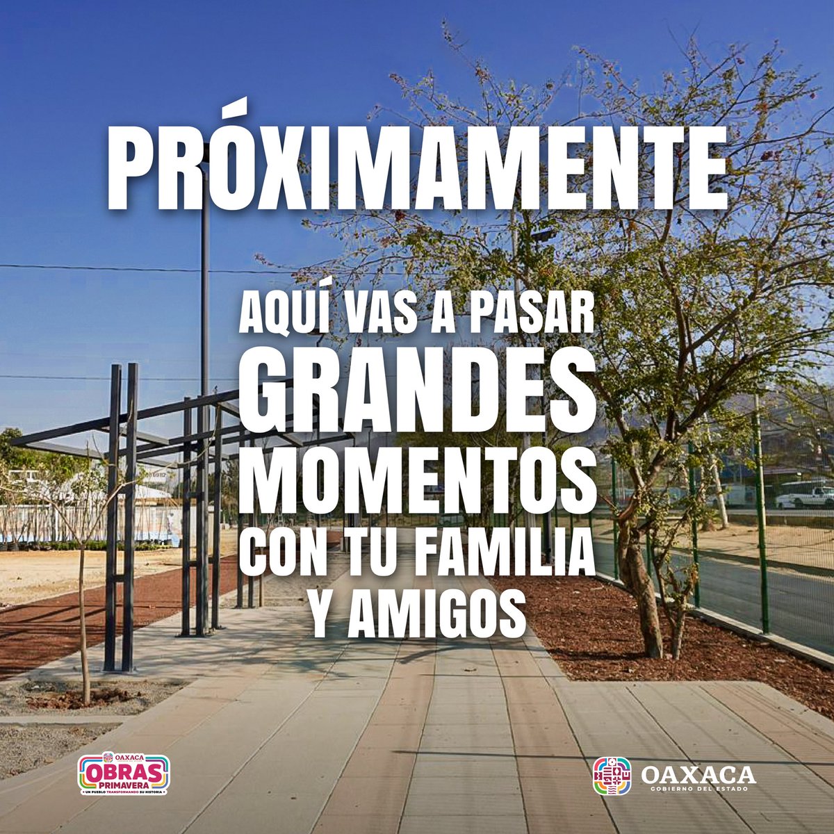 Salomón Jara Cruz tweet media