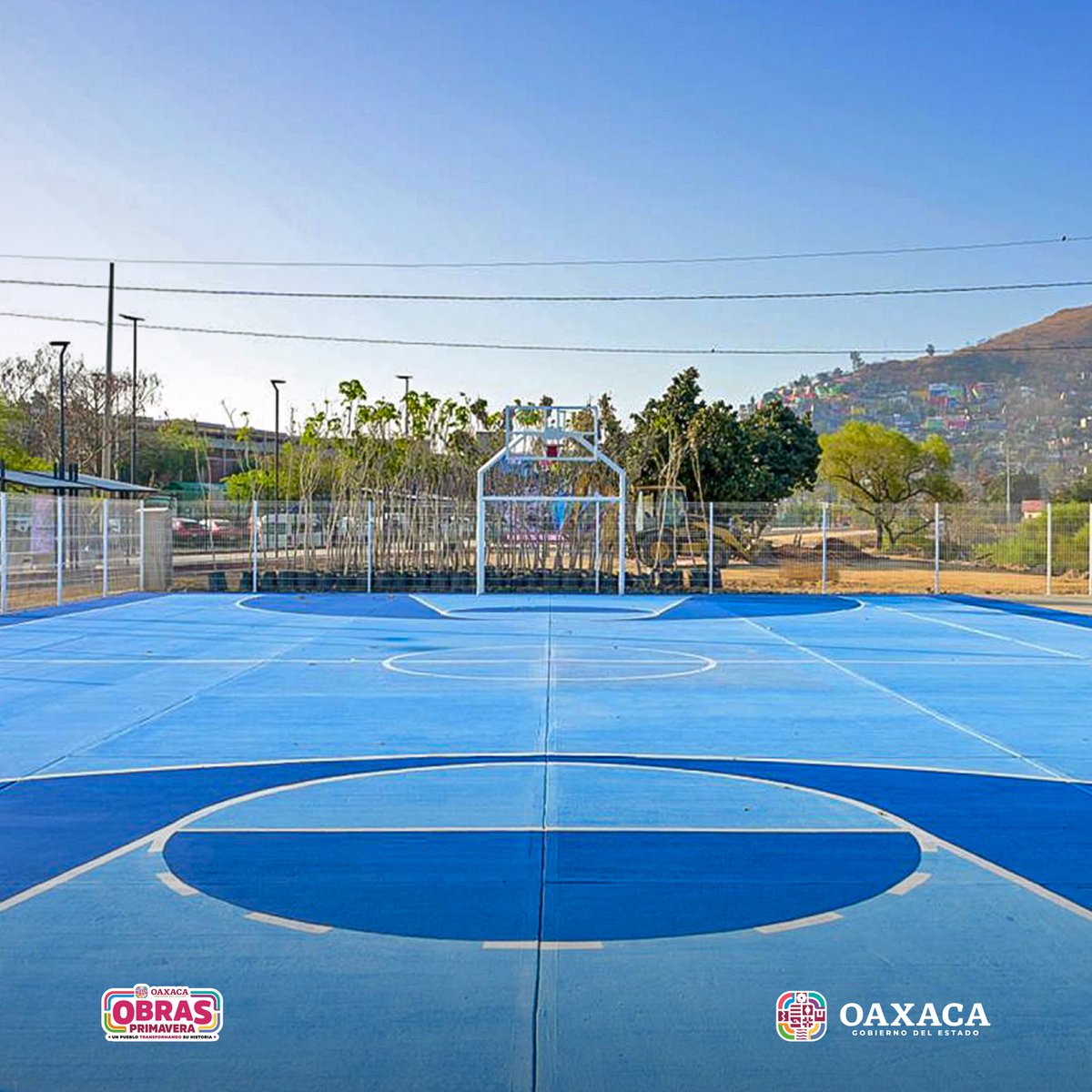 Salomón Jara Cruz tweet media