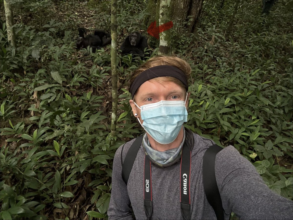 Dr Tom Crawford tweet media