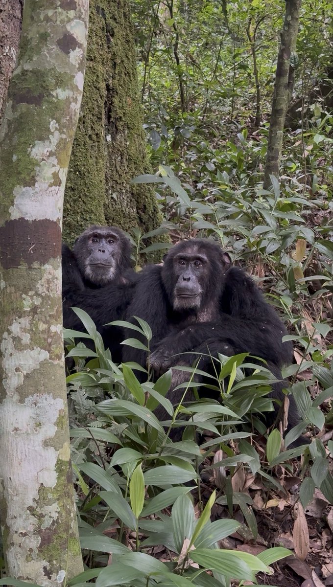 Dr Tom Crawford tweet media