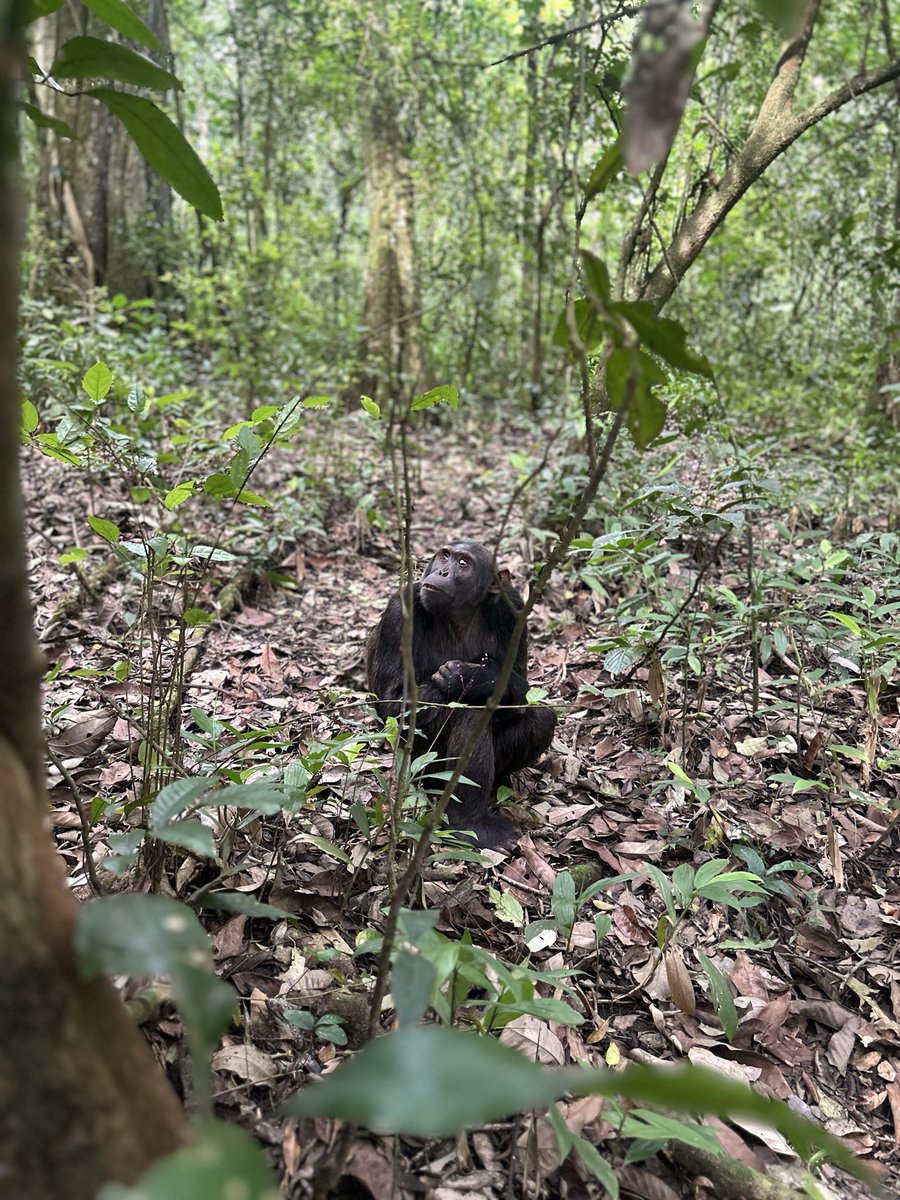 Dr Tom Crawford tweet media