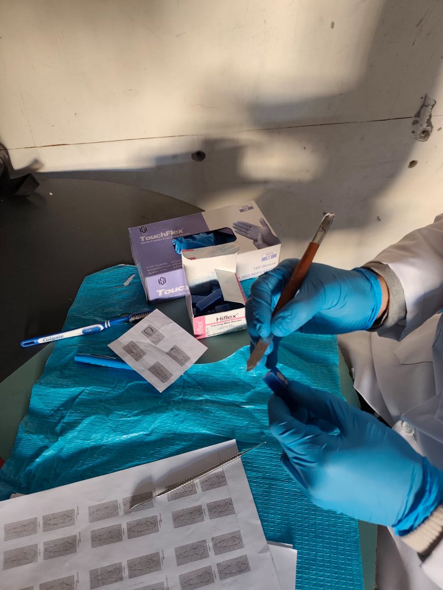 Mohammed in Gaza 🍉🇵🇸 tweet media