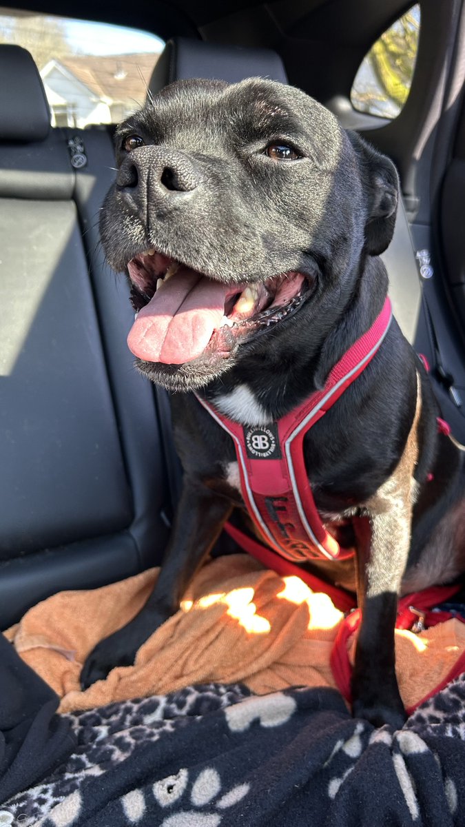 Baby Frank & his teddy, Edward 🧸🏴 tweet media