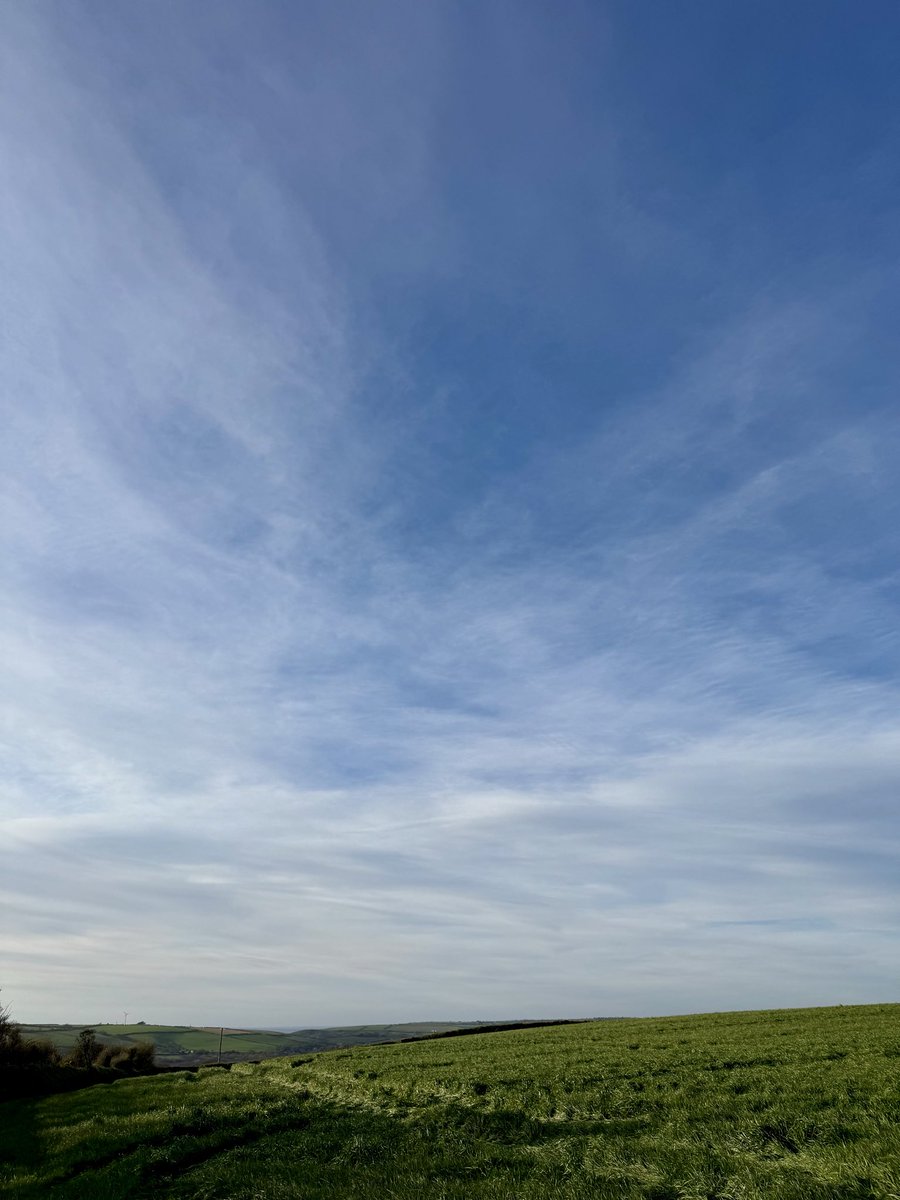 Tanya 🌊☀️🦮👣 〓〓 tweet media