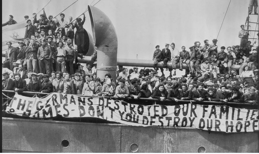 TraderSZ tweet media