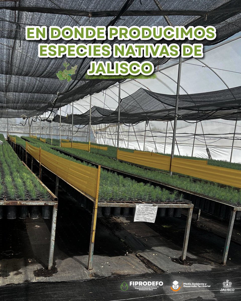 FIPRODEFO tweet media