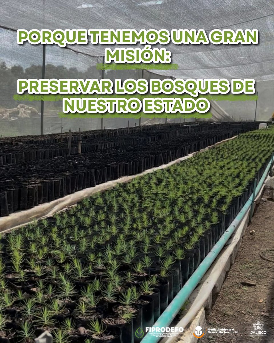 FIPRODEFO tweet media