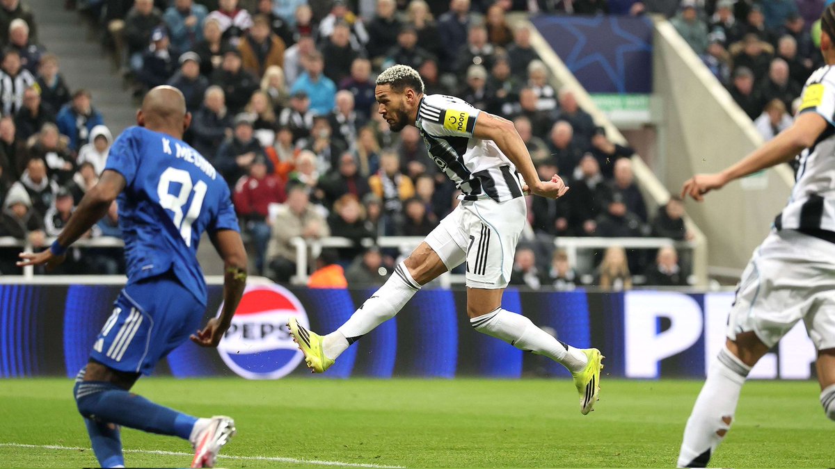 Magpie 24/7 tweet media