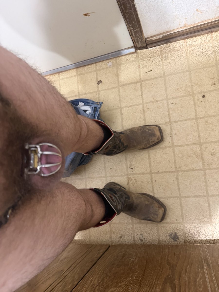 PupDanger tweet media