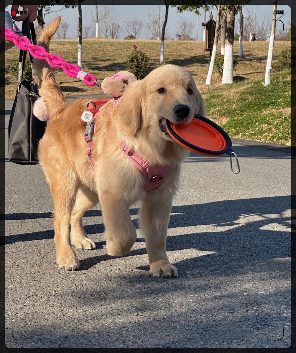 عزت ياسن عماره tweet media