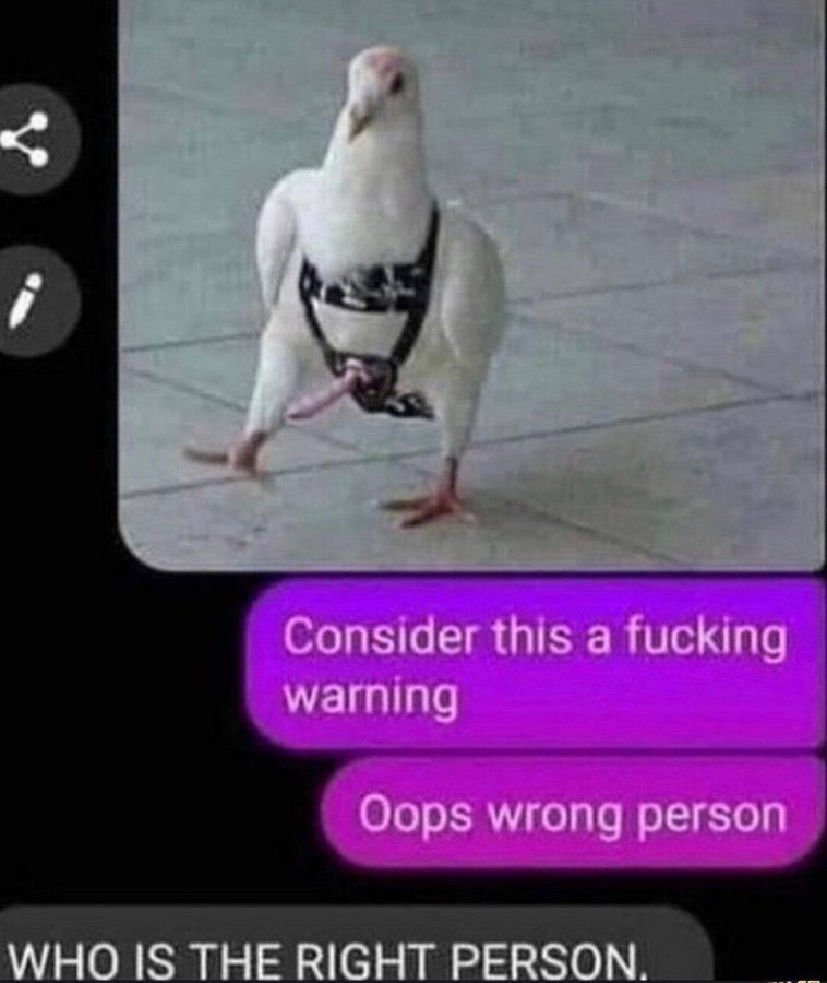 here’s something tweet media