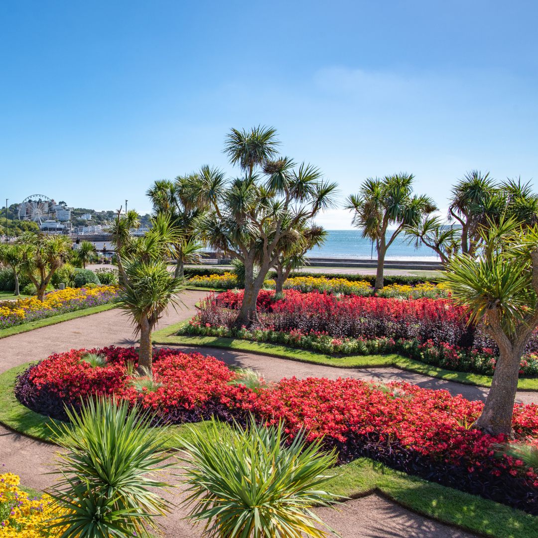 Visit Devon tweet media