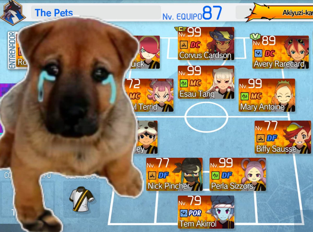 Pet tweet media