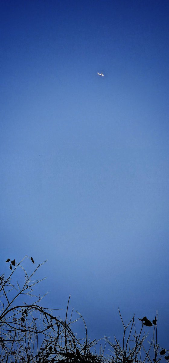 𝐕𝐈𝐃𝐘𝐀🇮🇳🚩 tweet media