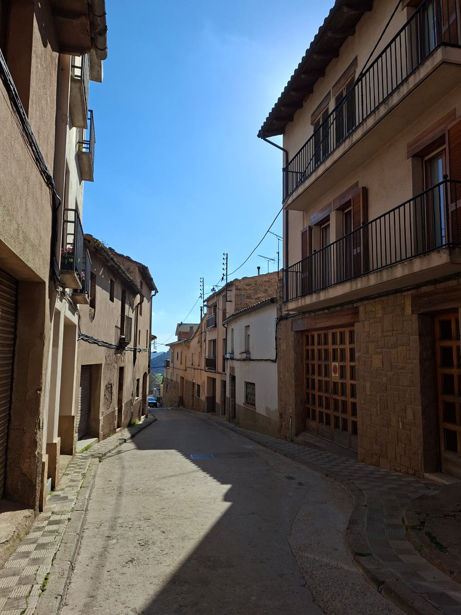 Ajuntament de Moià tweet media